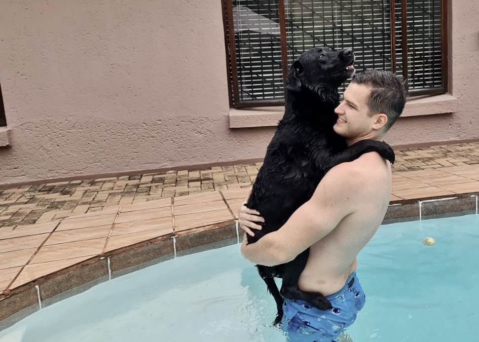 Excited black Labrador jumping up into the arms of a man in a dangerous way.